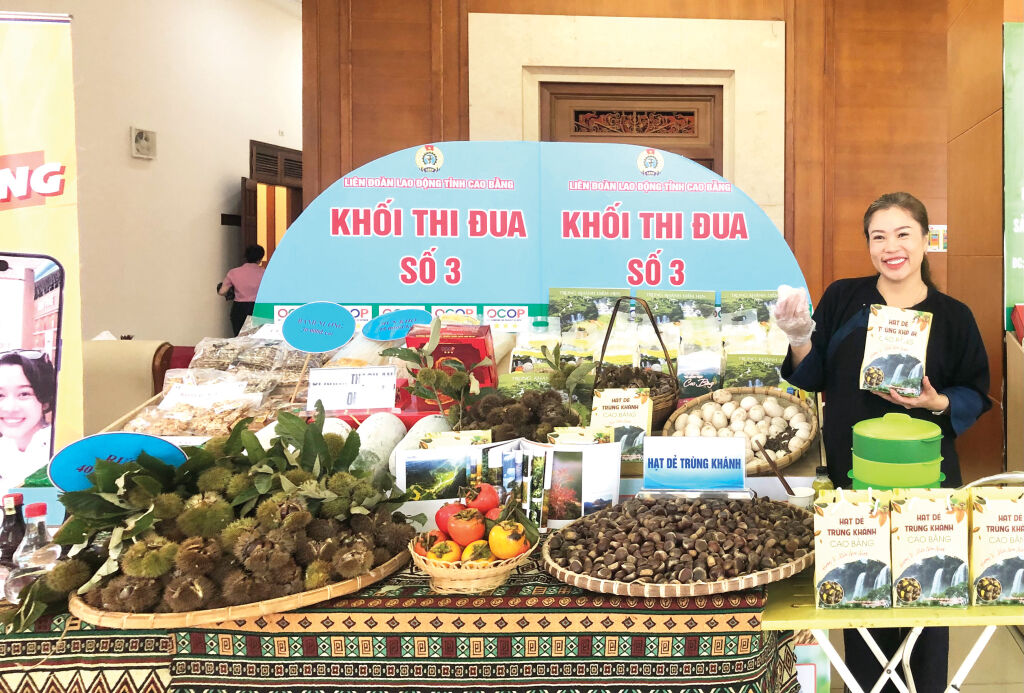 Banner giữa cửa hàng