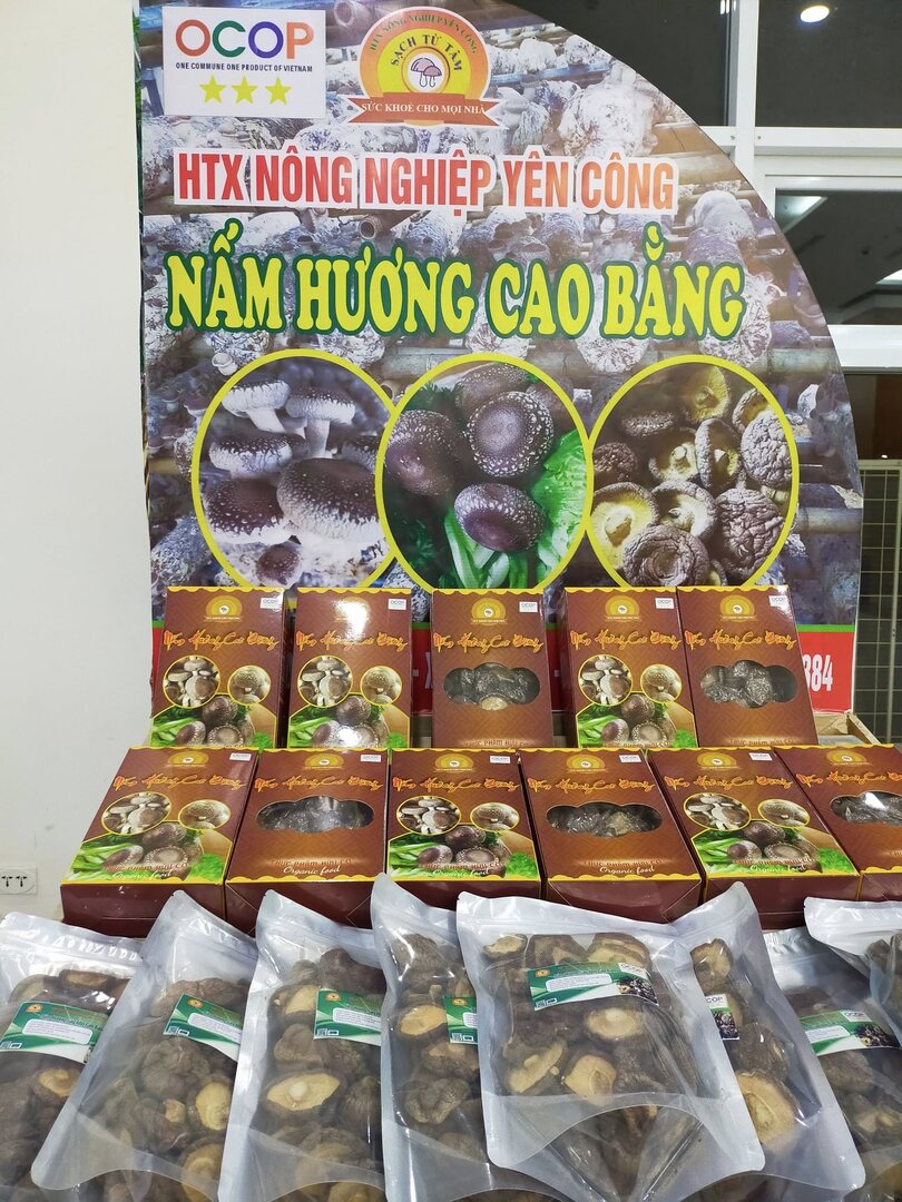 Banner giữa cửa hàng