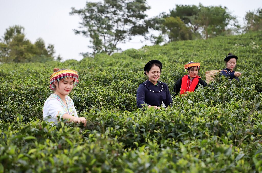 Khuyến mãi HOT giảm 10%