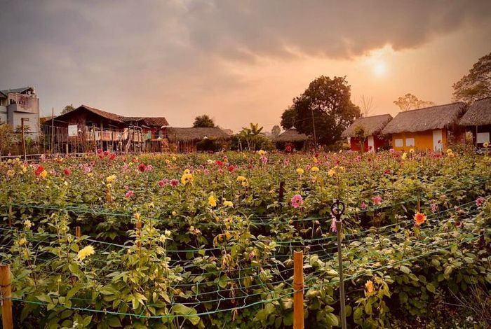 Homestay Lương Sơn