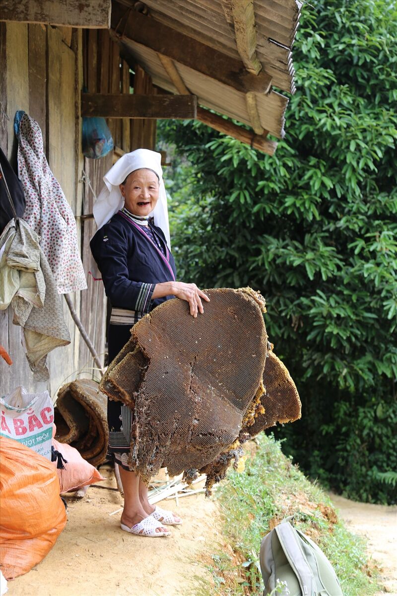 Mật ong rừng Cao Bằng