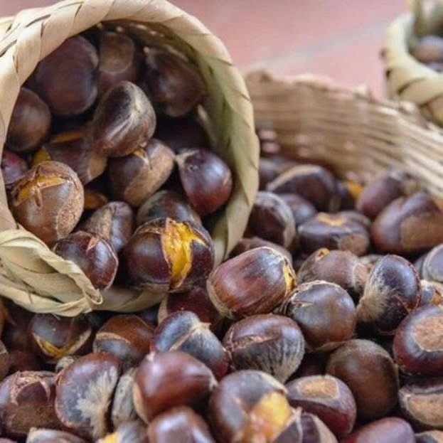 Hạt dẻ Trùng Khánh