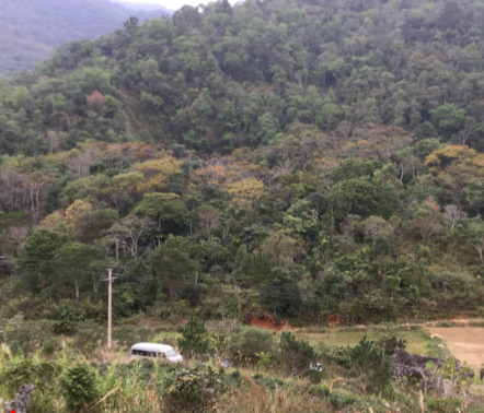 Mỏ Vonfram bản Ổ