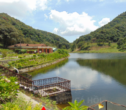 Trang trại cá hồi