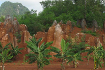 Vườn đá Hoàng Tung