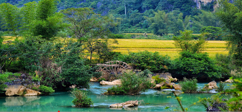 Cọn nước trên dòng sông Quây Sơn