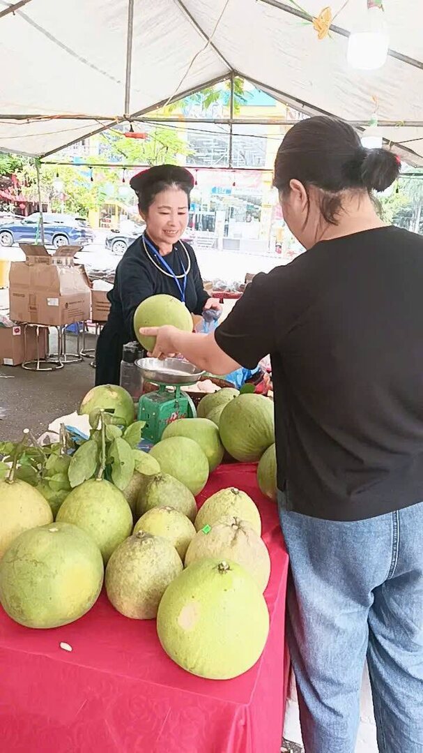 Hộ kinh doanh Hoàng Thị Thanh