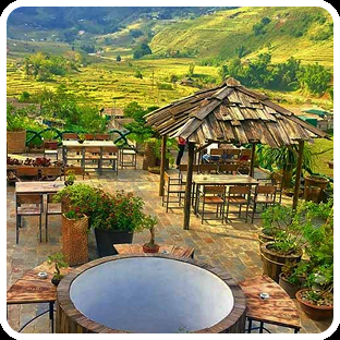 Banner danh mục 5 yếu tố