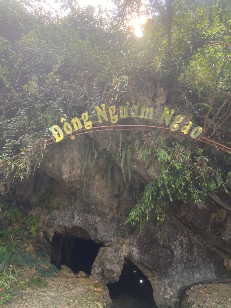 Hình ảnh cảnh báo 2